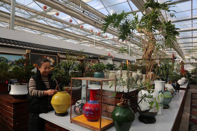 建南商行：破除发展迷思